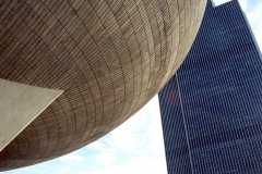 The Egg