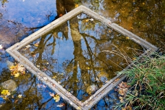 My Autumn Frame of Mind