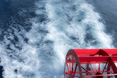 View from Above