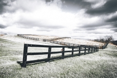 Williamstown Fence