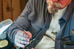 Tying a May Fly