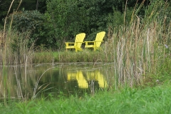 Mellow Yellow