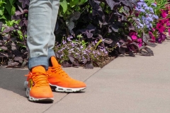 Orange Shoes