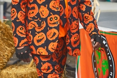 Pumpkin Judge