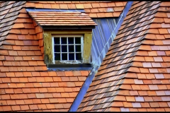 The Orange Roof