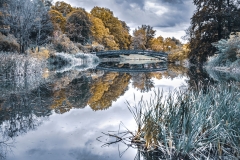 Washington Park Lake With Footbridge
