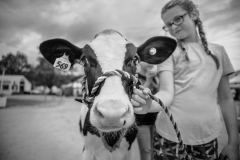 The Winning Calf