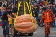 Winning Pumpkin