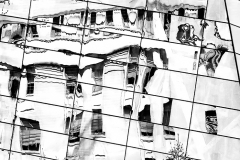 Nyc Reflections
