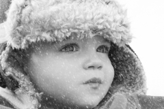 Gray in the Snow