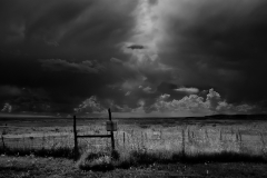 The Field