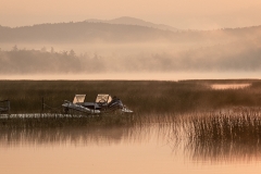 Foggy Morning