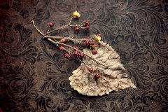 Bittersweet Leaf