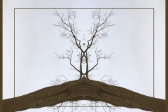 Truncated Tree