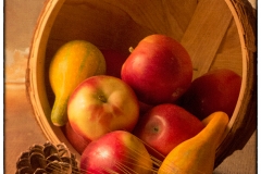 Fall Harvest