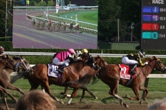 The Race Is On