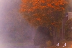 Morning Mist