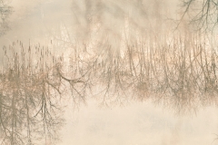 Double Exposure 3
