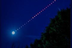 Blood Moon Rising