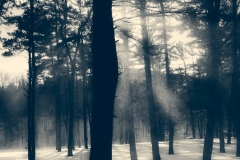 Thacher Park