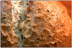 Crusty Rye Bread