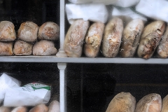 Bread Alone