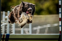 Determined
