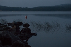 Big Moose Dusk
