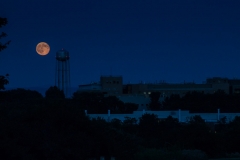 Blue Moon
