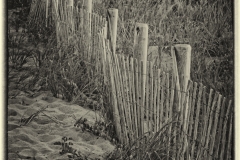 The Storm Fence
