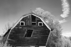 1115PRA0-Assigned[Kim_Koza]One_Too_Many