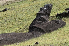 1115PRA0-Assigned[M-j_Adelman]Moai_-_Easter_Island