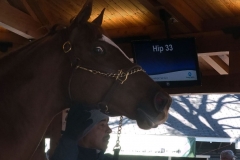 1115PRA0-Assigned[Marguerite_Hill]I_Am_Up_Next