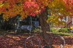 1115PRA0-Assigned[Robert_Woll]Season_Ending_Colors