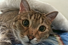 1115PRG0-General[Drue_Sokol]Look_Into_My_Eyes