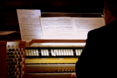 The Organist