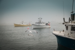 Foggy Morning