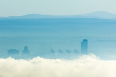 Albany Skyline