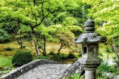 Seattle Japanese Garden