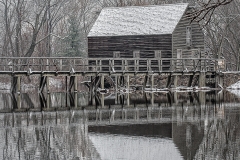 Winter Reflection