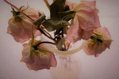 Yesterdays Flowers