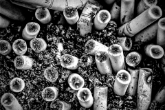 Lung Decay