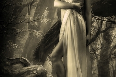 Forest Enchanted