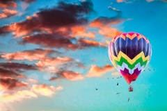 Flight At Sunset