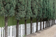 Fences