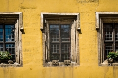 Windows and Flower Pots