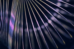 Abstract Spring