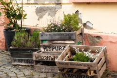 Koblenz Street Garden