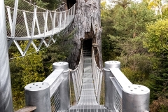 Adirondack Wild Walk