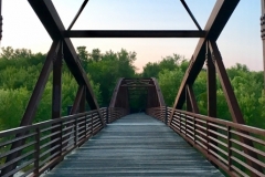 Bridge